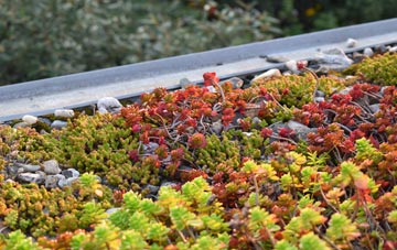 the cost of Curtismill Green green roof installation