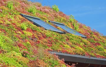 Curtismill Green living roof systems